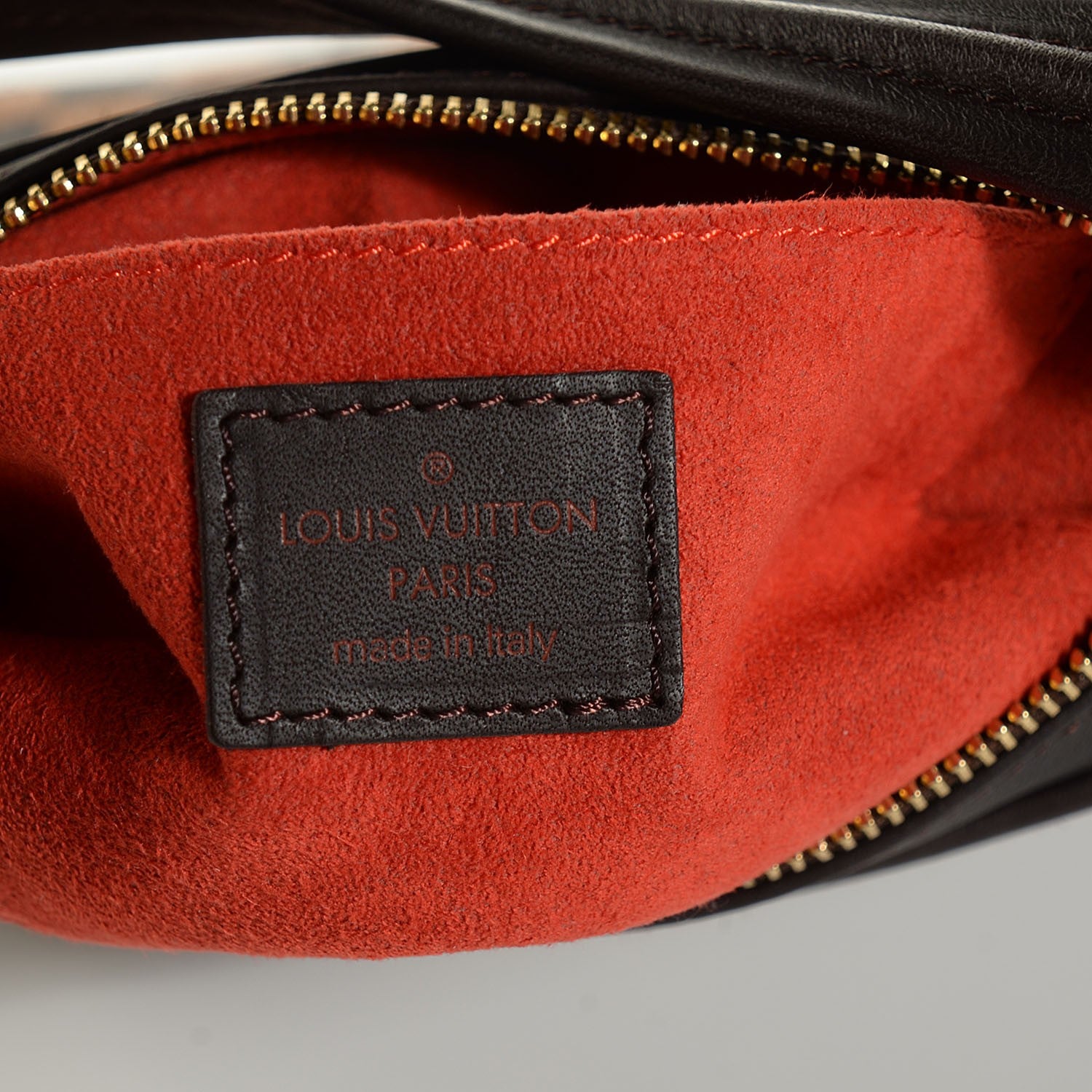 Louis Vuitton Calf Hair Damier Sauvage Tigre 6 of 7