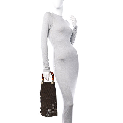 Fendi Suede Plexiglass FF Mesh Fendi Sunny Tote Bag Sigaro Moro 3 of 11