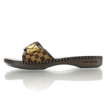 Louis Vuitton Pony Hair Damier Slides 40 1 of 5