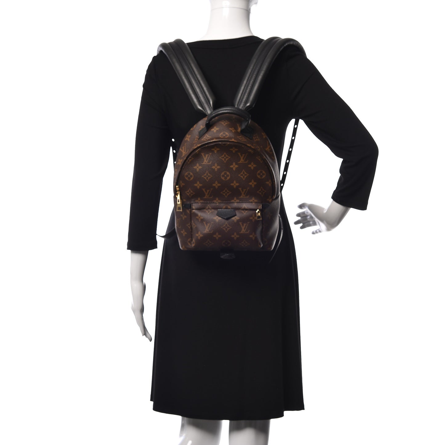 Monogram Palm Springs Backpack PM