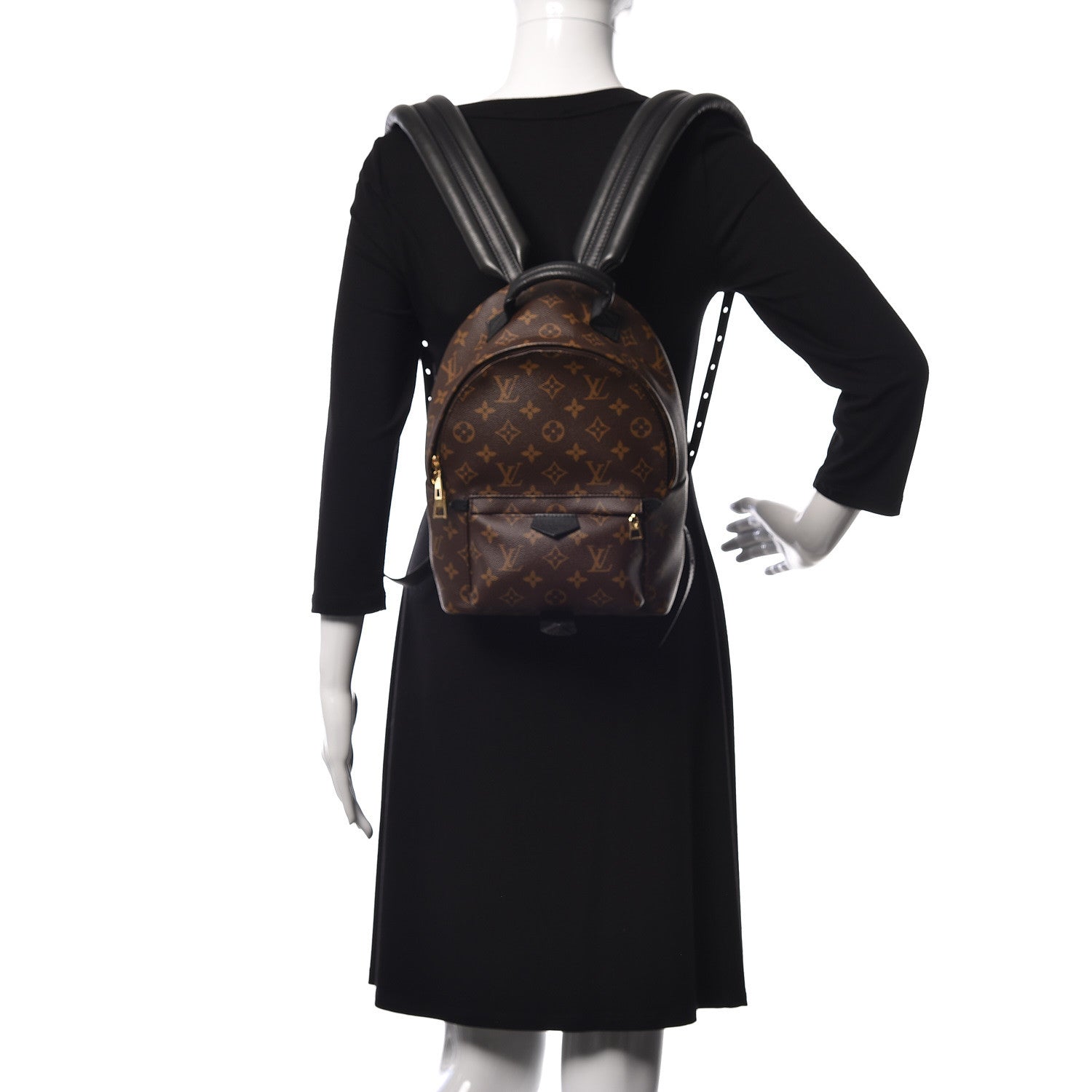 Louis Vuitton Monogram Palm Springs Backpack PM 2 of 8