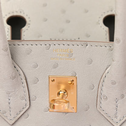 Hermes Ostrich Birkin 25 Gris Perle 6 of 11