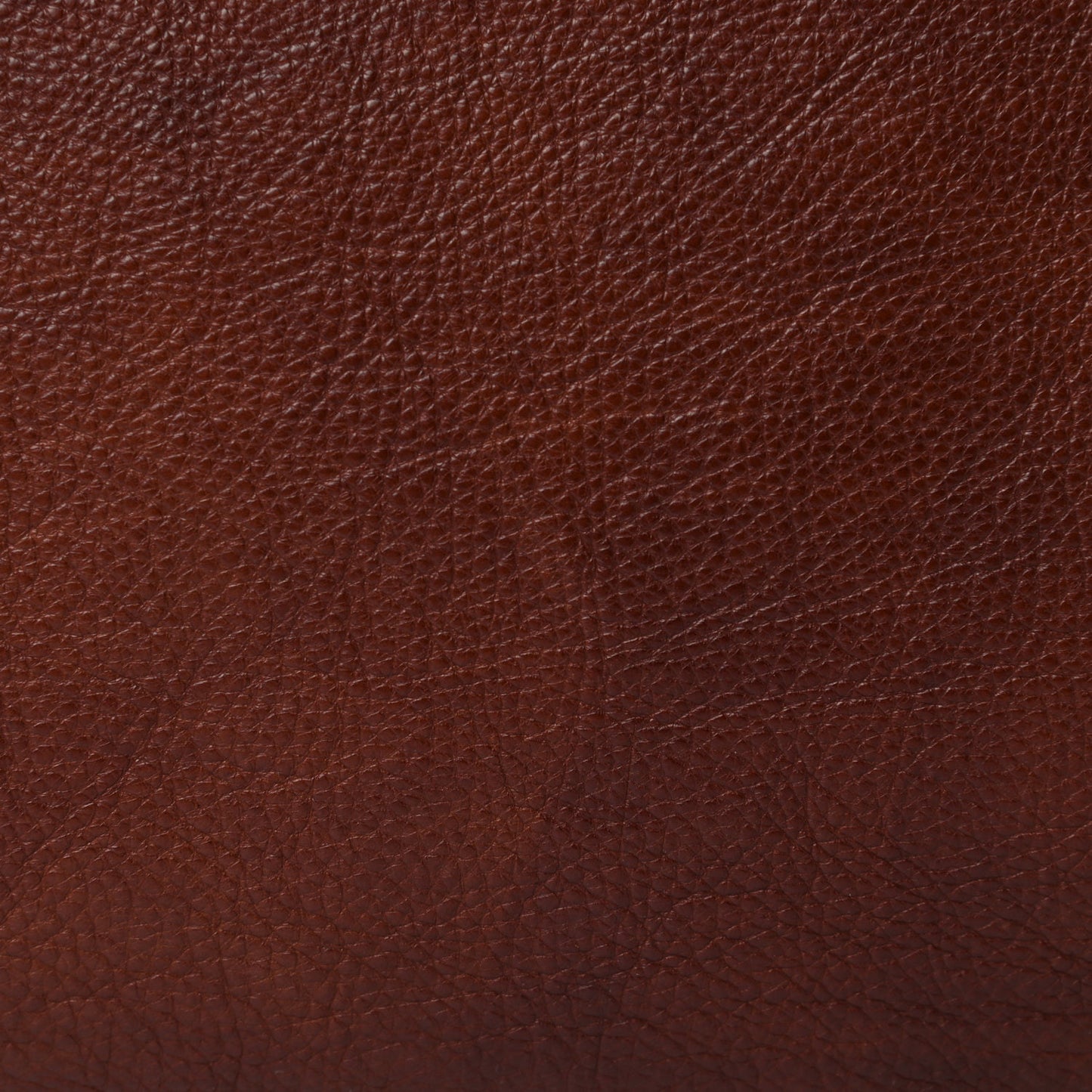 Calfskin Twist Strap Hobo Brown