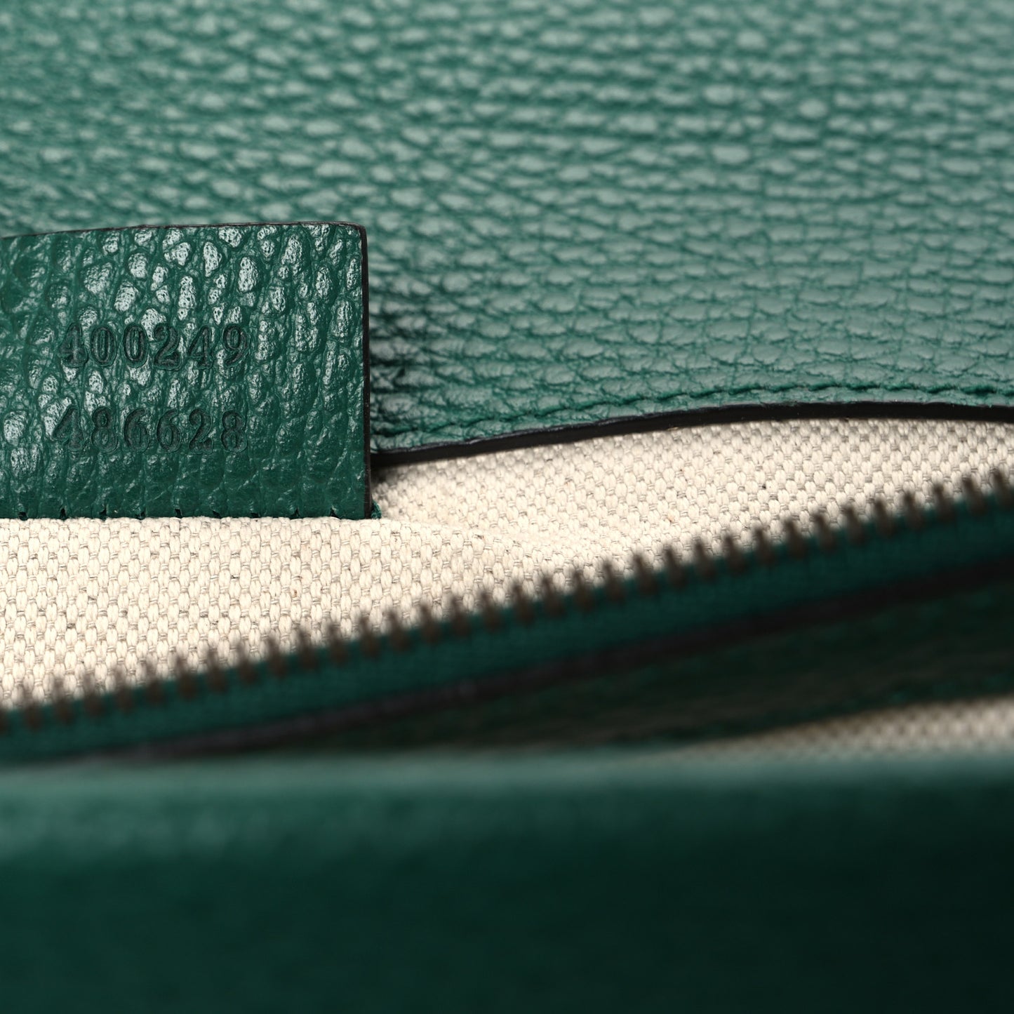 Pebbled Calfskin Small Dionysus Shoulder Bag Emerald