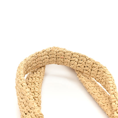 Saint Laurent Raffia Rive Gauche Tote Natural 14 of 14