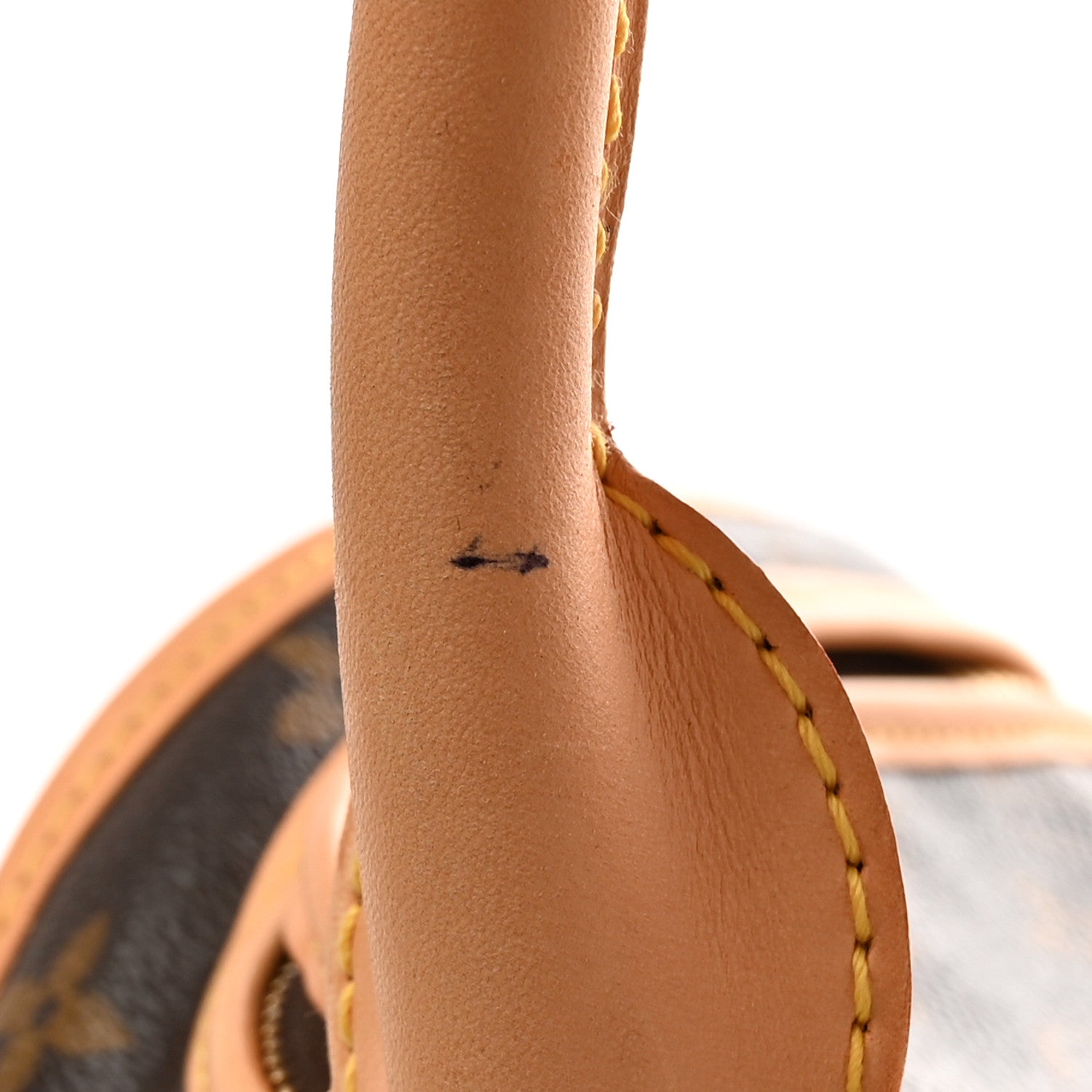 Louis Vuitton Monogram Sac Chien 40 Pet Carrier 11 of 13