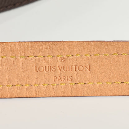 Louis Vuitton Monogram Baxter Dog Leash MM 4 of 5