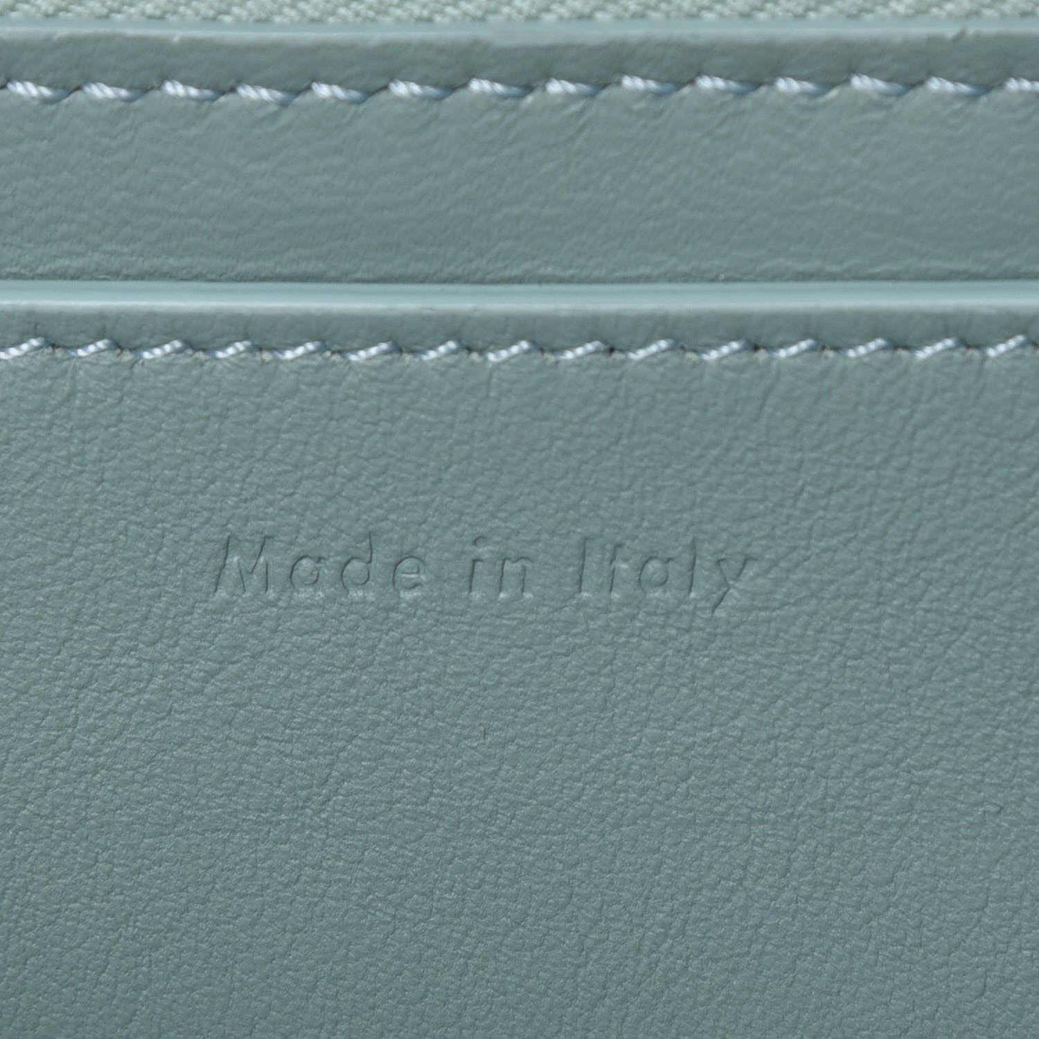 Celine Plastic Bag with Cloudy Lambskin Solo Zip Pouch Clutch Celadon 13 of 16