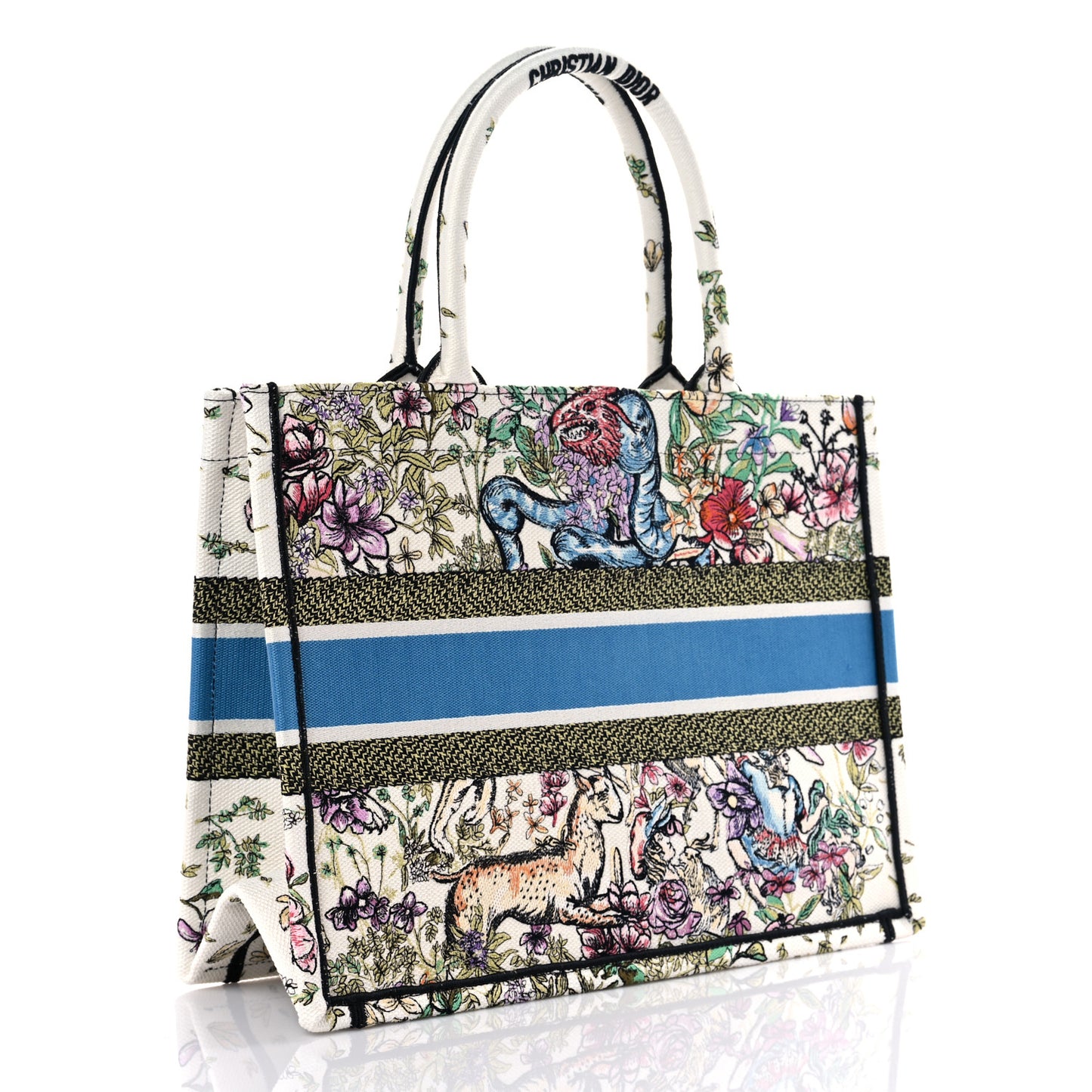 Canvas Embroidered Medium D-Constellation Book Tote Latte Multicolor