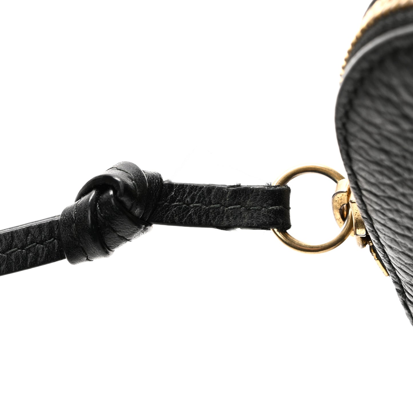 Grained Calfskin Sylvie Web Kingsnake Small Camera Bag Black Multicolor