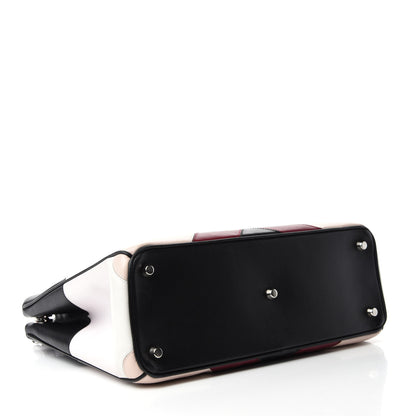 Christian Dior Smooth Calfskin Scalloped Medium Diorissimo Multicolor 5 of 12