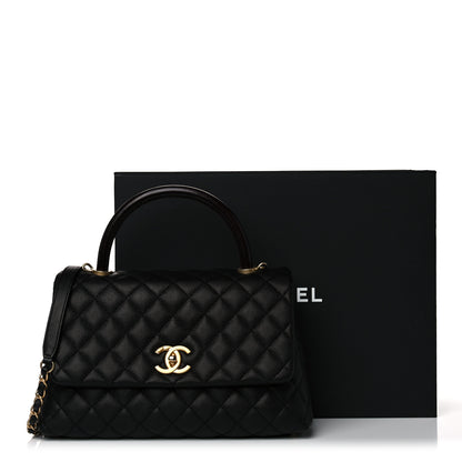 Chanel Caviar Lizard Quilted Small Coco Handle Flap Black 10 of 10