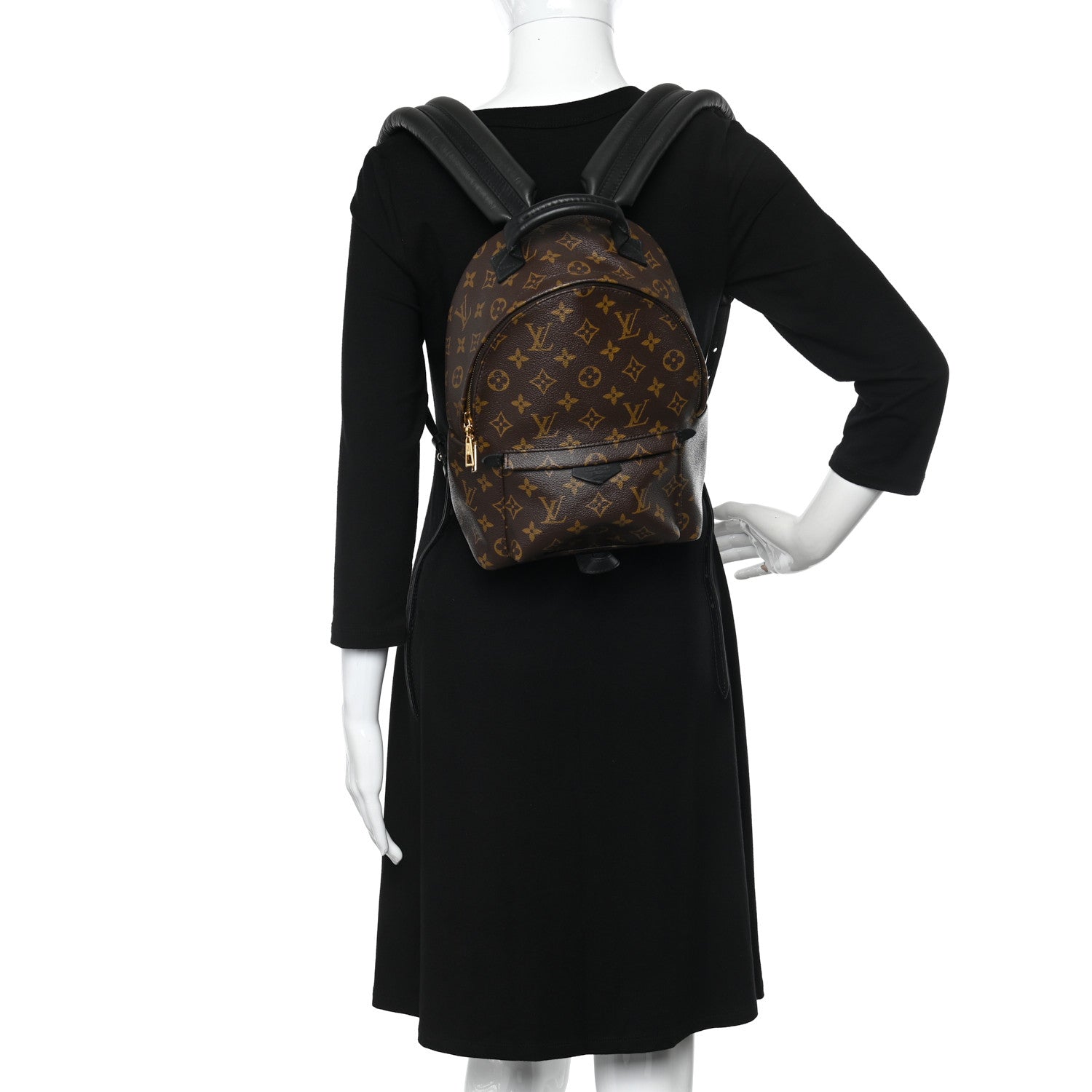 Louis Vuitton Monogram Palm Springs Backpack PM 2 of 11