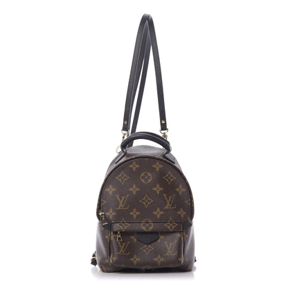 Louis Vuitton Monogram Palm Springs Backpack Mini 1 of 9