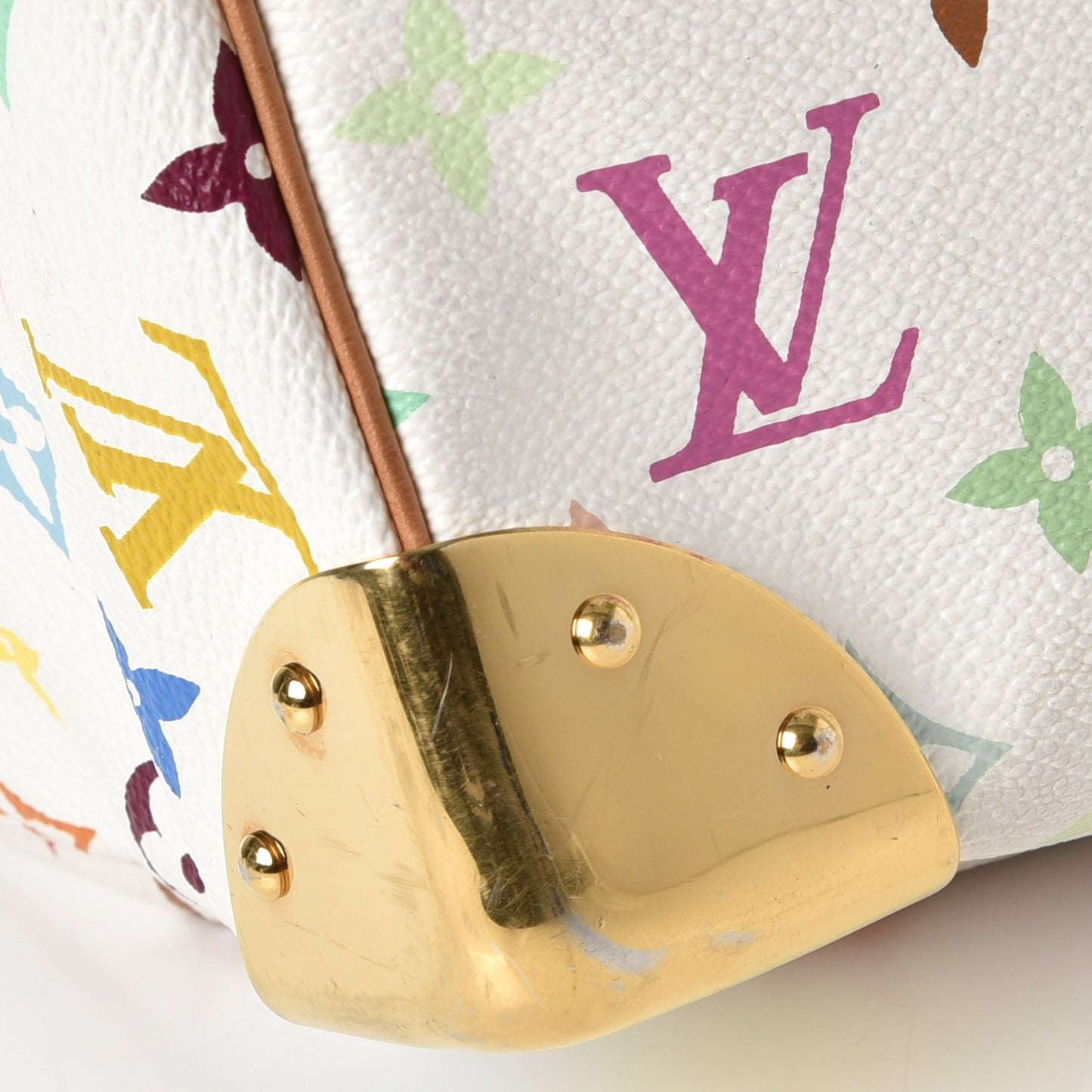 Monogram Multicolor Speedy 30 White