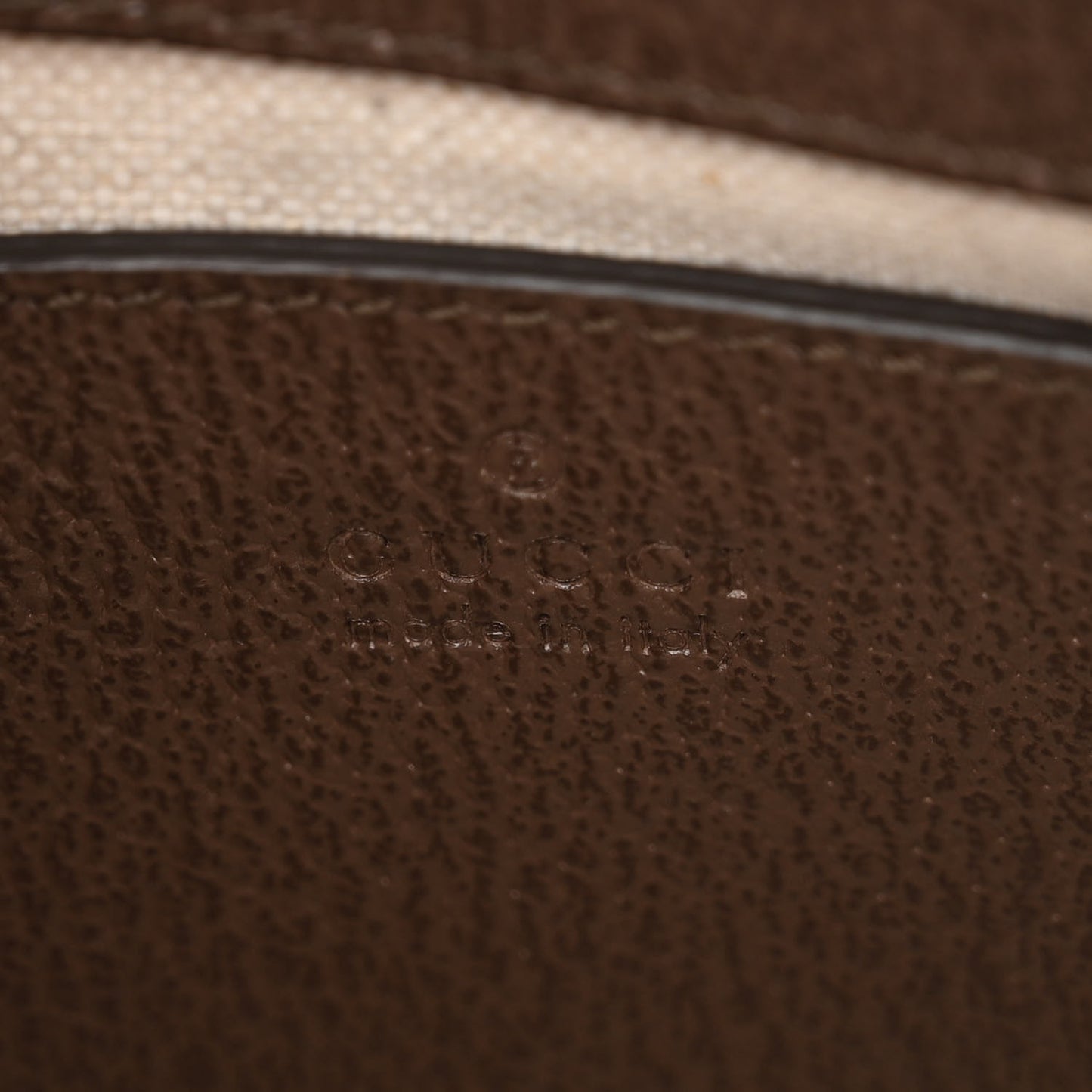 GG Supreme Monogram Textured Dollar Calfskin Web Small Ophidia GG Handbag Beige Ebony New Acero