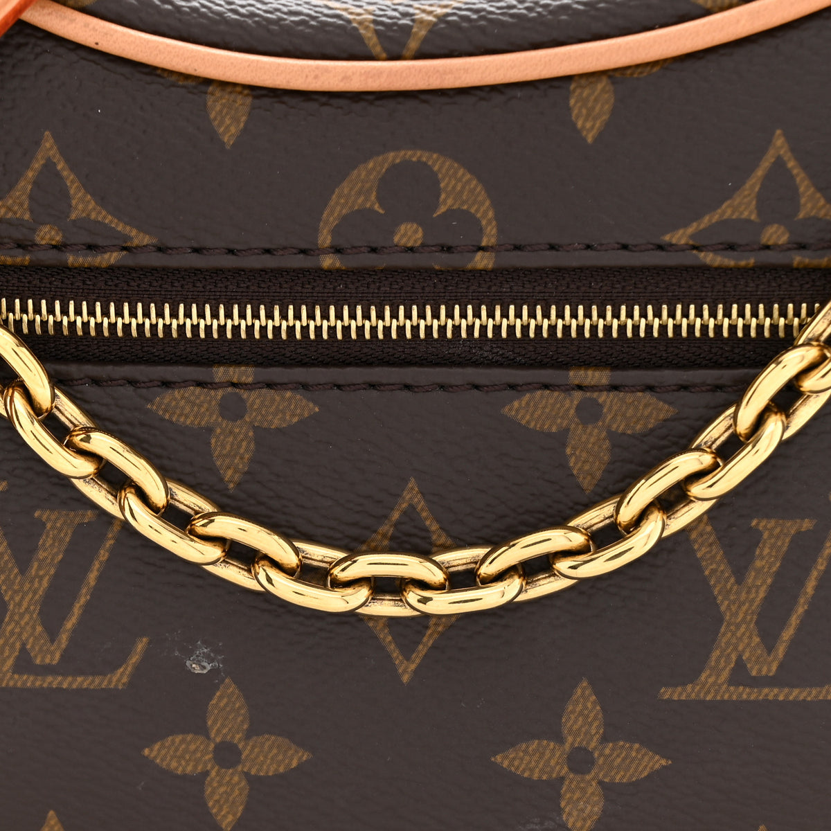 Louis Vuitton Monogram Loop 10 of 11