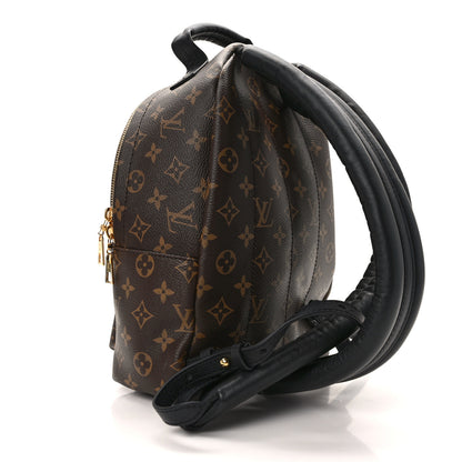 Louis Vuitton Monogram Palm Springs Backpack PM 3 of 11