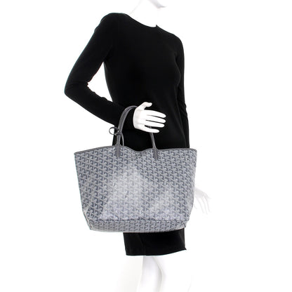 Goyard Goyardine Saint Louis PM Grey 2 of 10