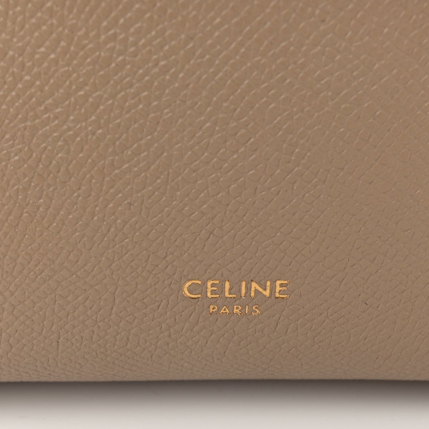 Grained Calfskin Pico Belt Bag Light Taupe