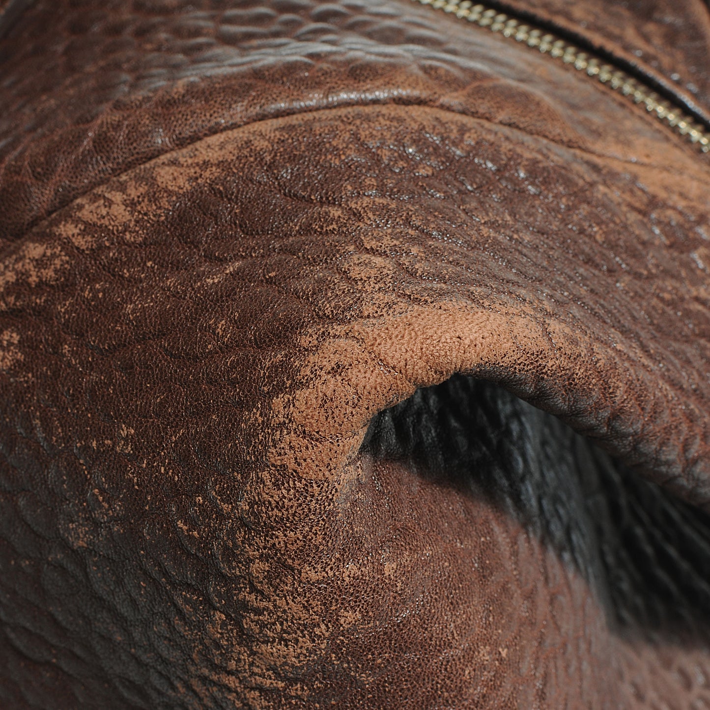 Pebbled Lambskin Medium Easy Sac Brown