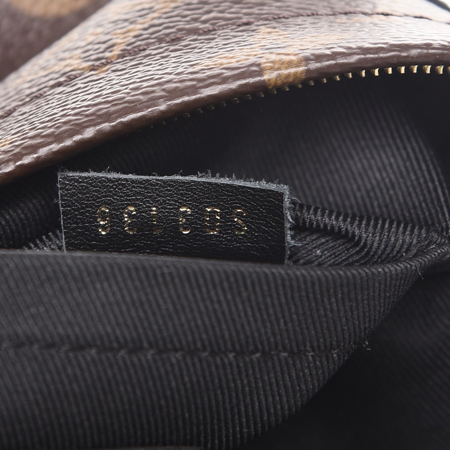 Monogram Palm Springs Backpack Mini