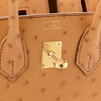 Hermes Ostrich Birkin Sellier 25 Gold 6 of 10