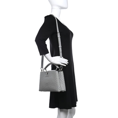 Louis Vuitton Ostrich Capucines BB Gris 2 of 10