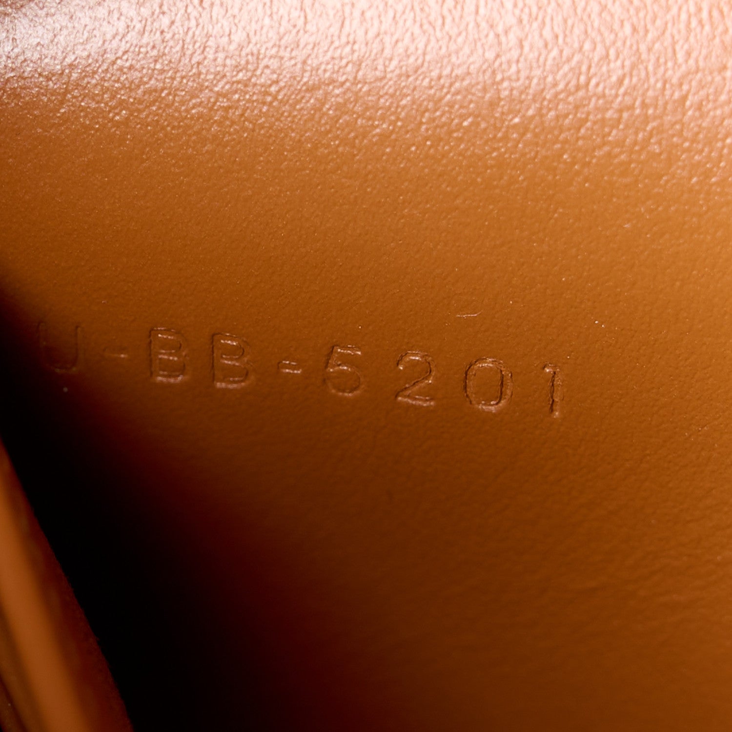 Celine Triomphe Canvas Lambskin Wallet On Strap Tan 10 of 13
