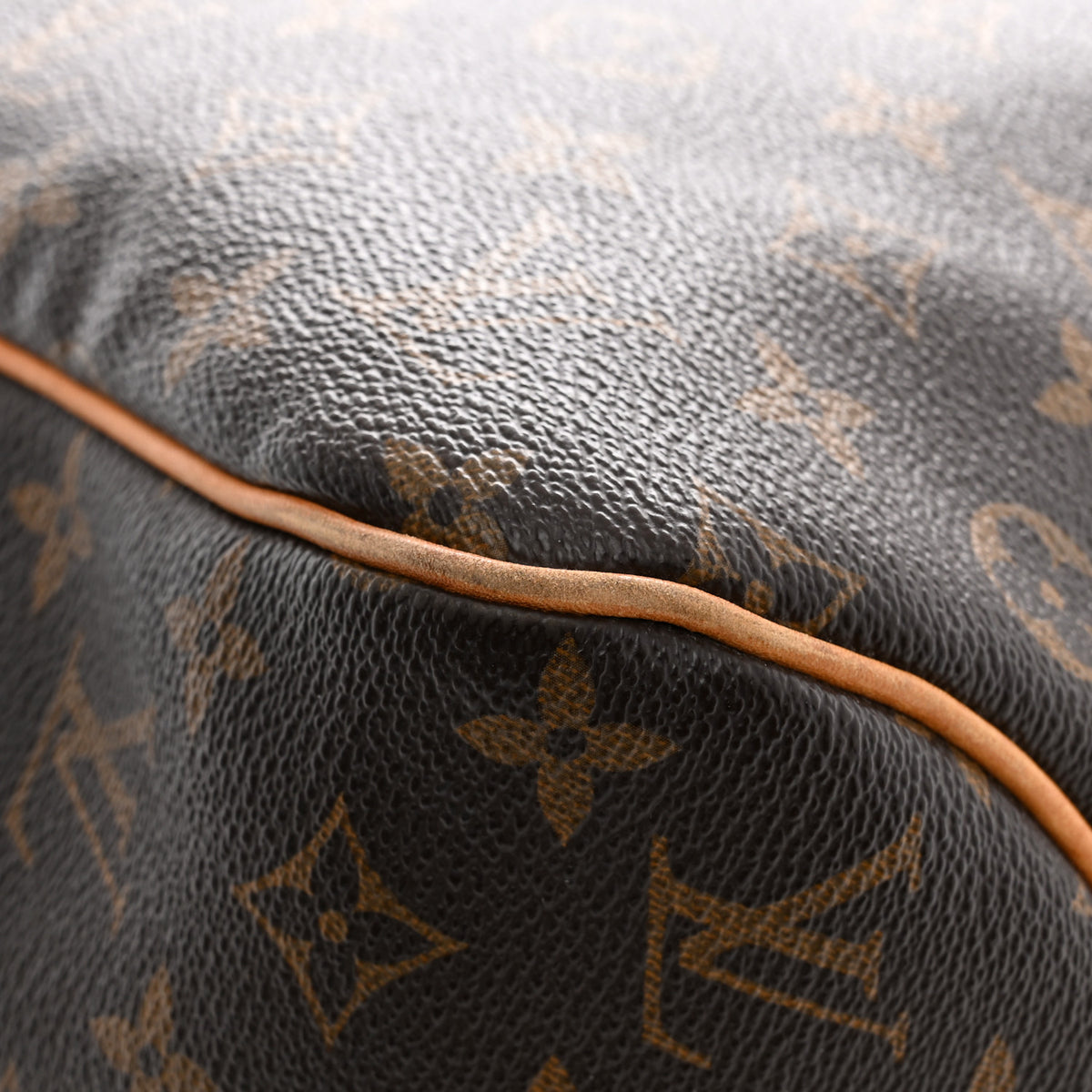 Monogram Delightful MM