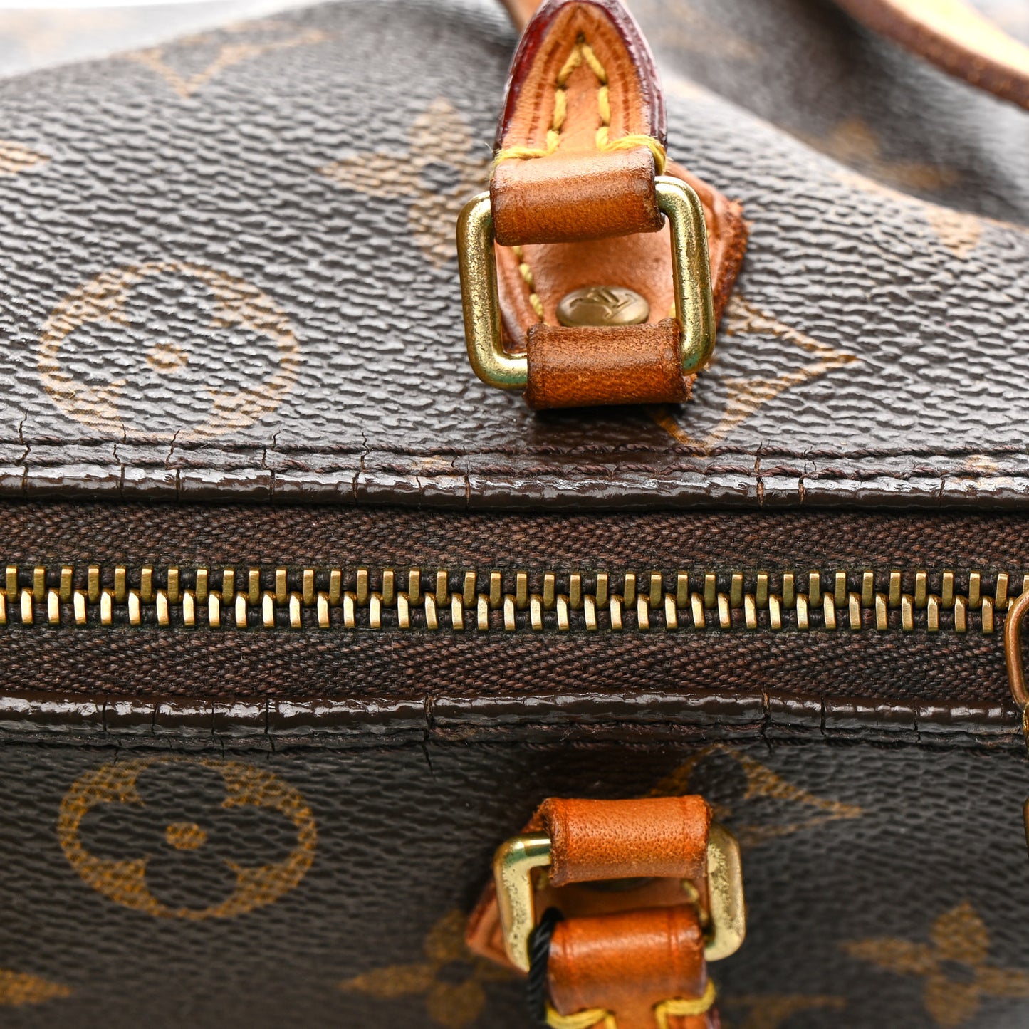 Monogram Nano Speedy