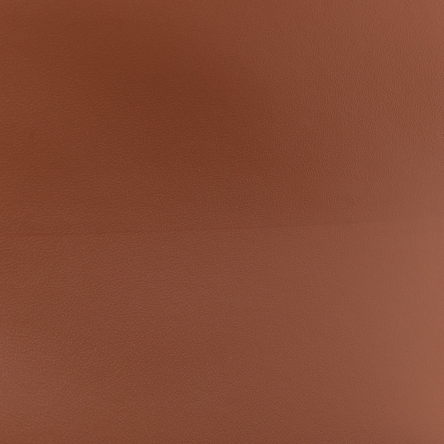 Natural Calfskin Medium Triomphe Tan