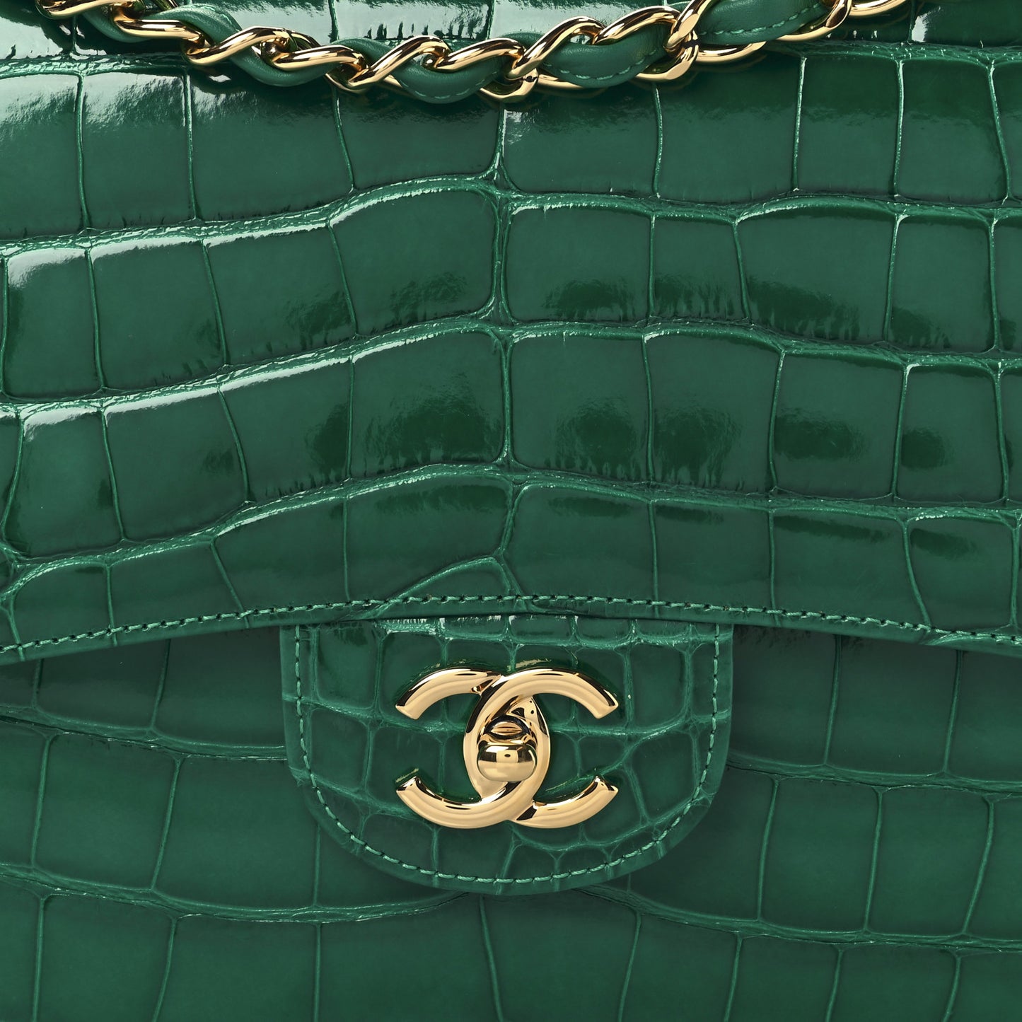Alligator Jumbo Double Flap Green
