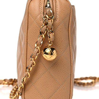 Chanel Caviar Quilted CC Camera Case Beige 22 of 22
