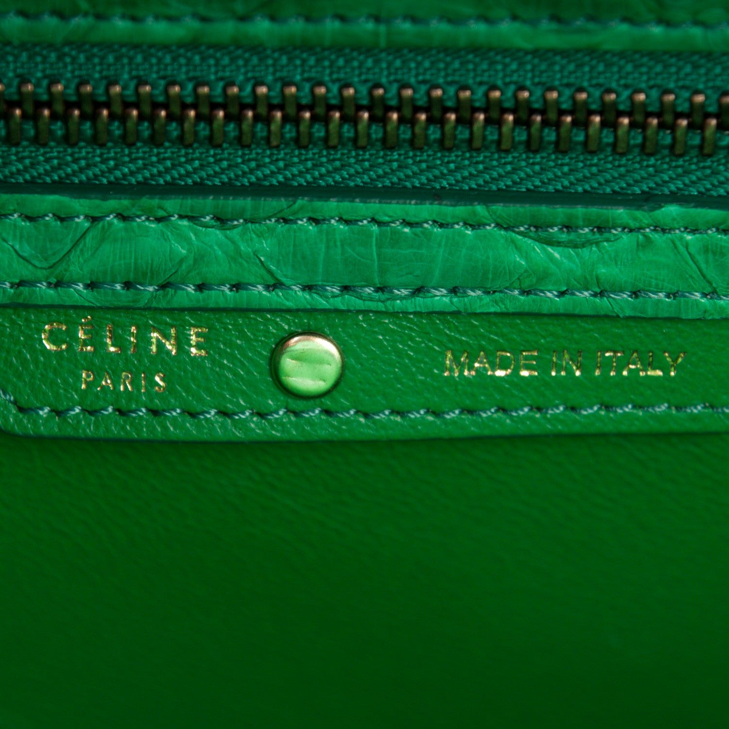 Celine Python Micro Luggage Grass Green 7 of 8