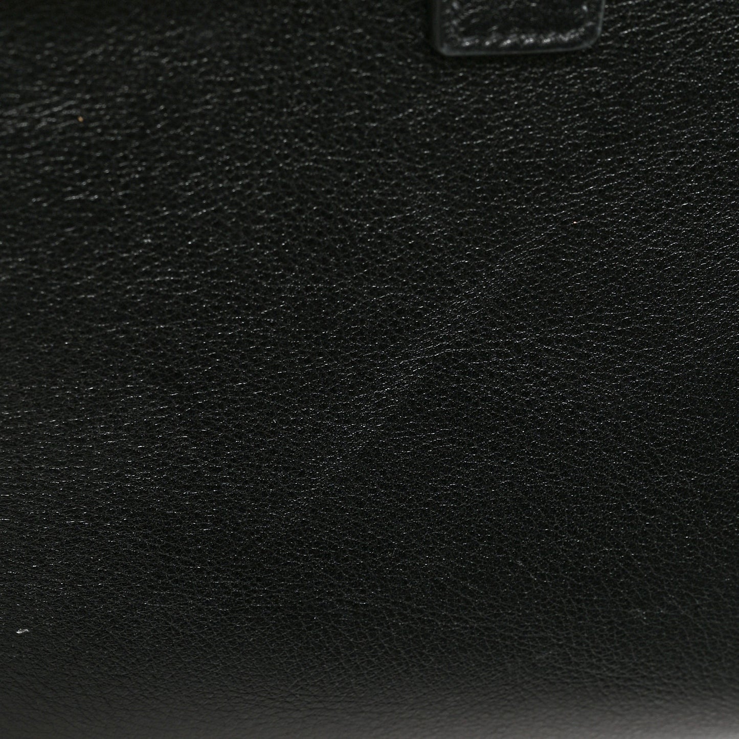 Calfskin Crystal Embellished Nano Sac de Jour Black