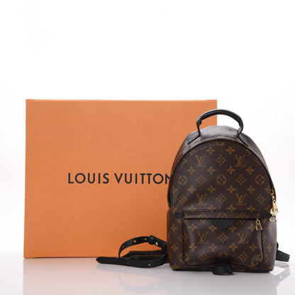 Louis Vuitton Monogram Palm Springs Backpack PM 9 of 9