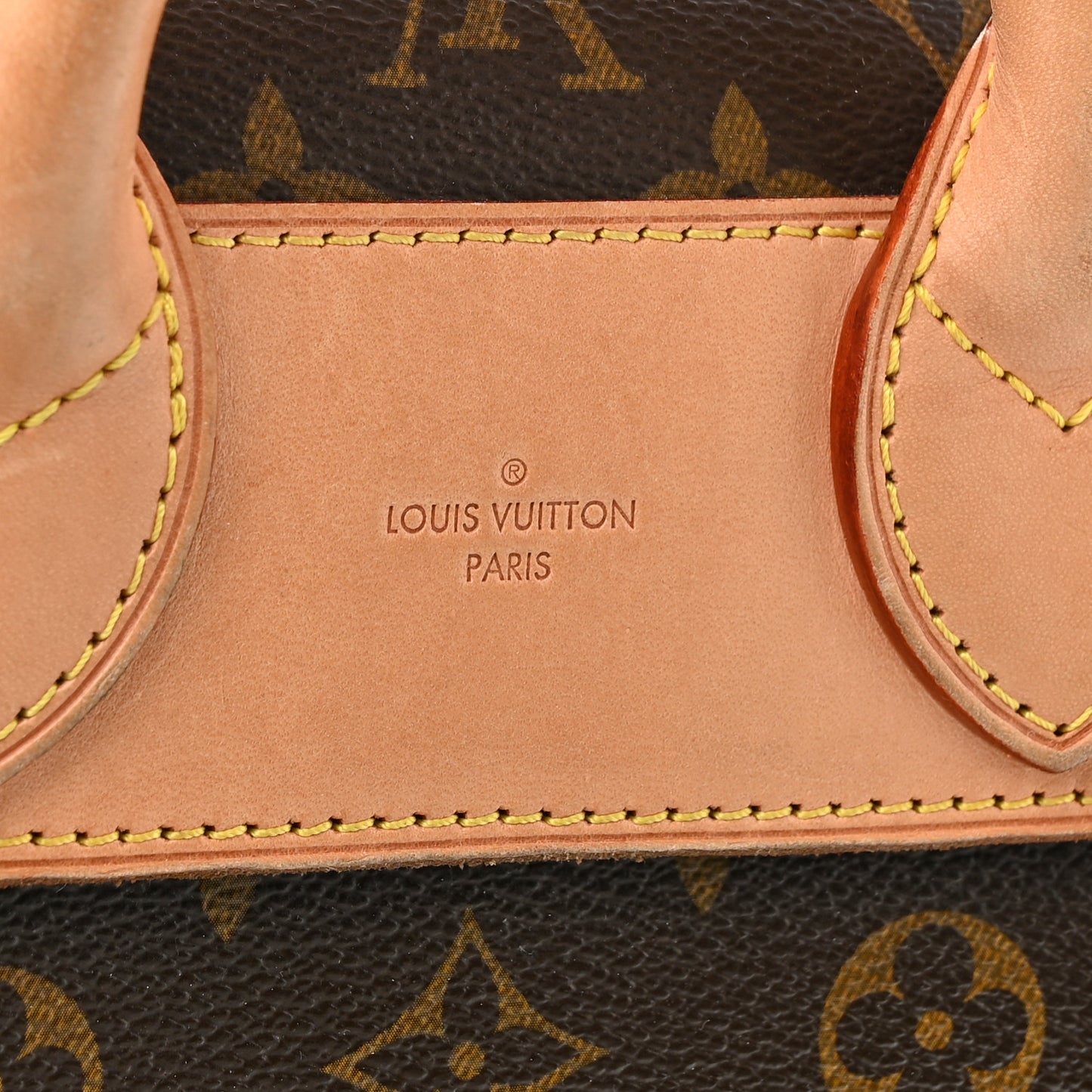 Monogram Eden PM Camel