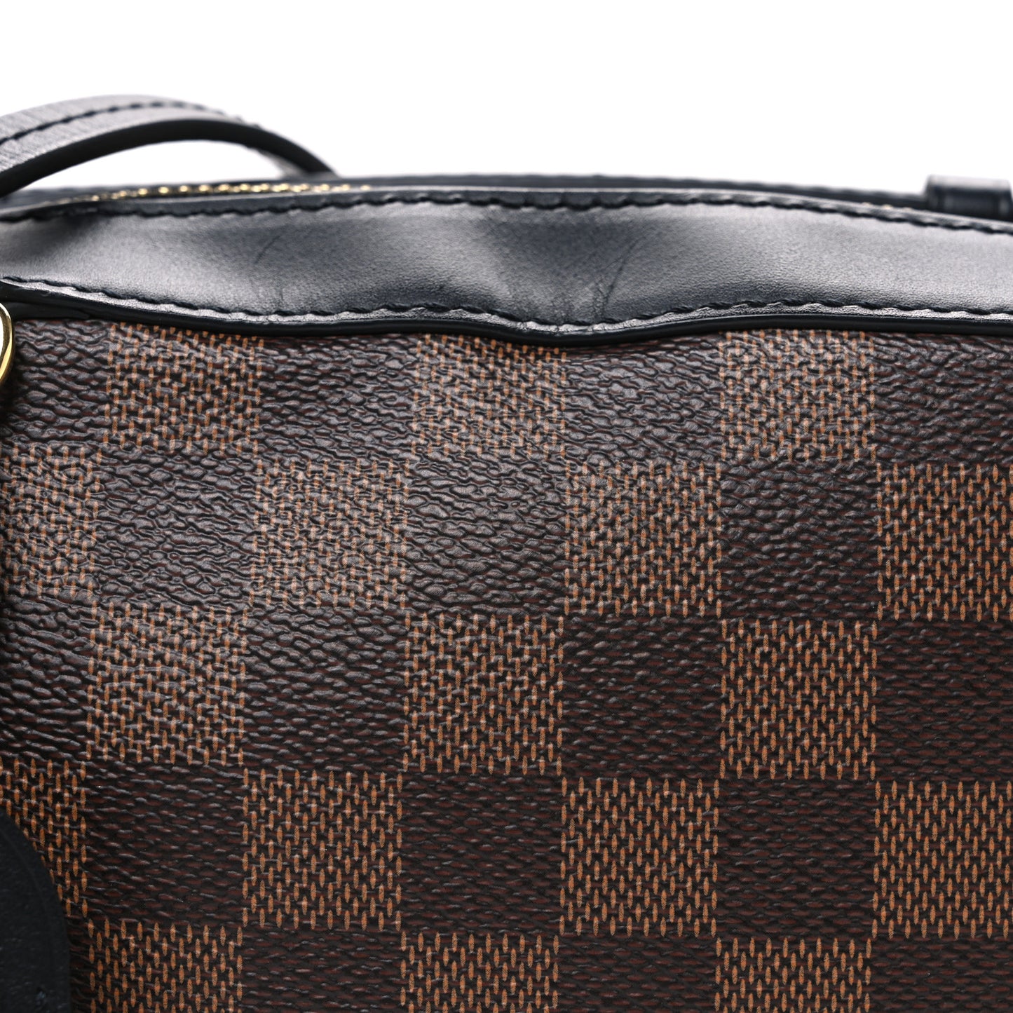 Damier Ebene Santa Monica Black