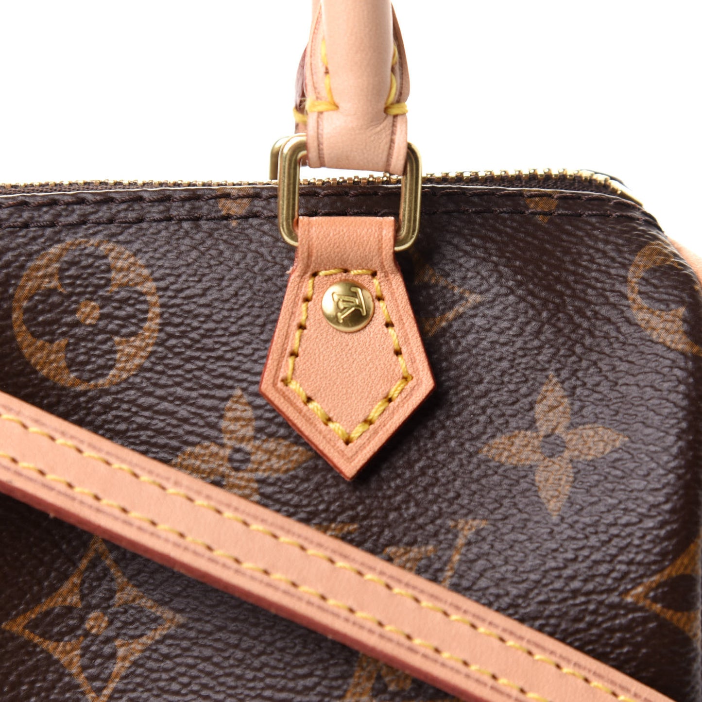 Monogram Nano Speedy
