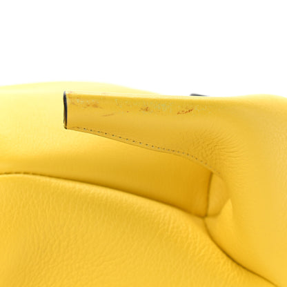 Loewe Calfskin Mini Elephant Crossbody Bag Yellow 12 of 12