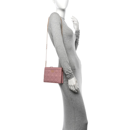 Christian Dior Calfskin Cannage Caro Zipped Pouch With Chain Fard 2 of 13