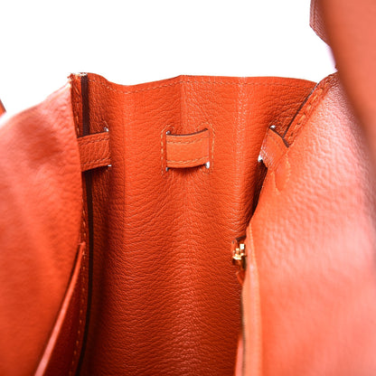 Hermes Togo Birkin 25 Feu 18 of 33