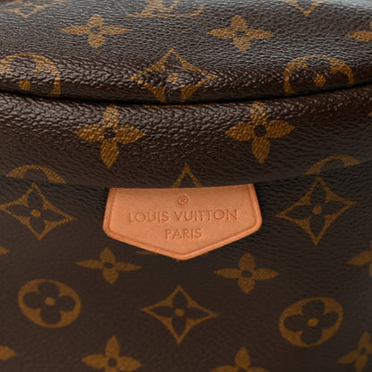 Louis Vuitton Monogram Bumbag 15 of 19