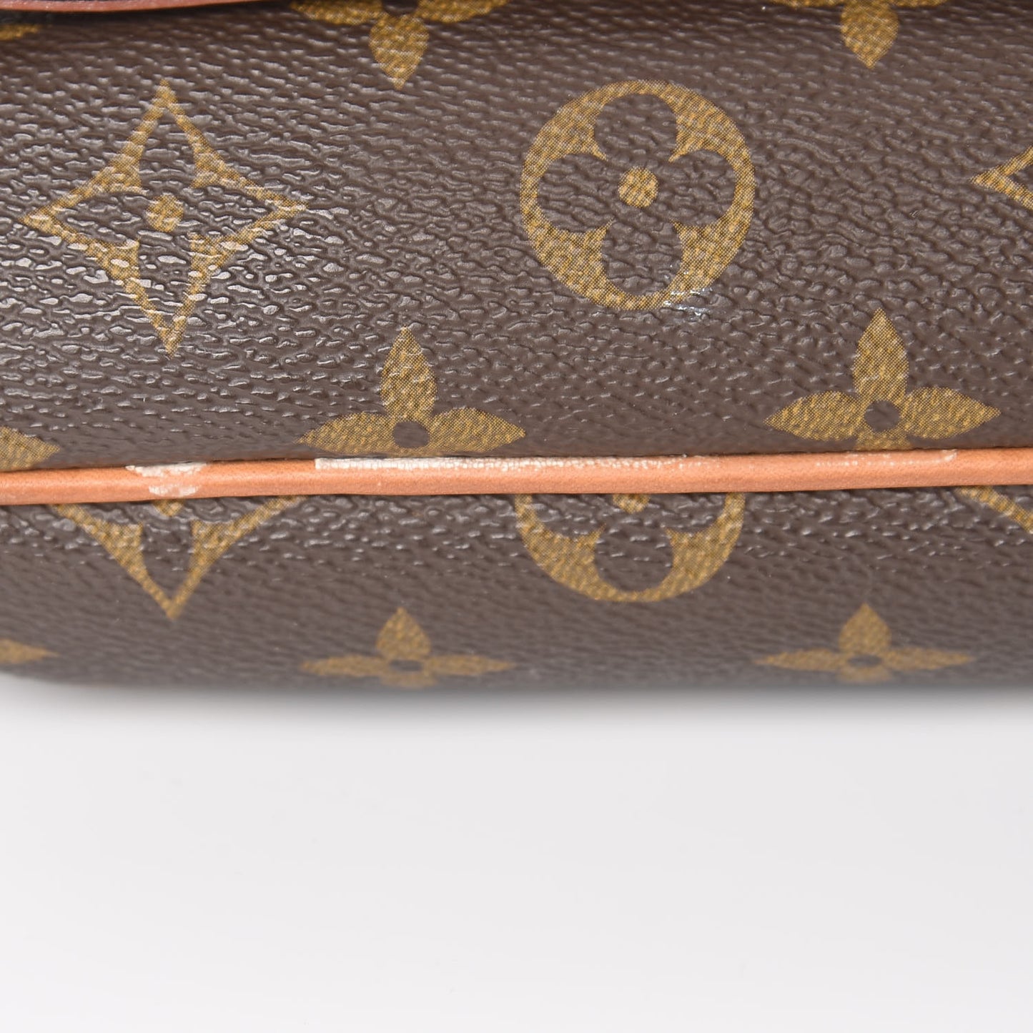 Monogram Musette Tango