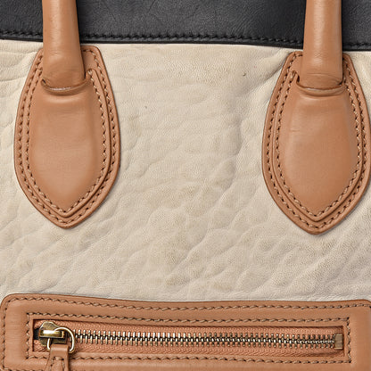 Celine Smooth Calfskin Shrunken Lambskin Mini Tri-Color Luggage White 14 of 33