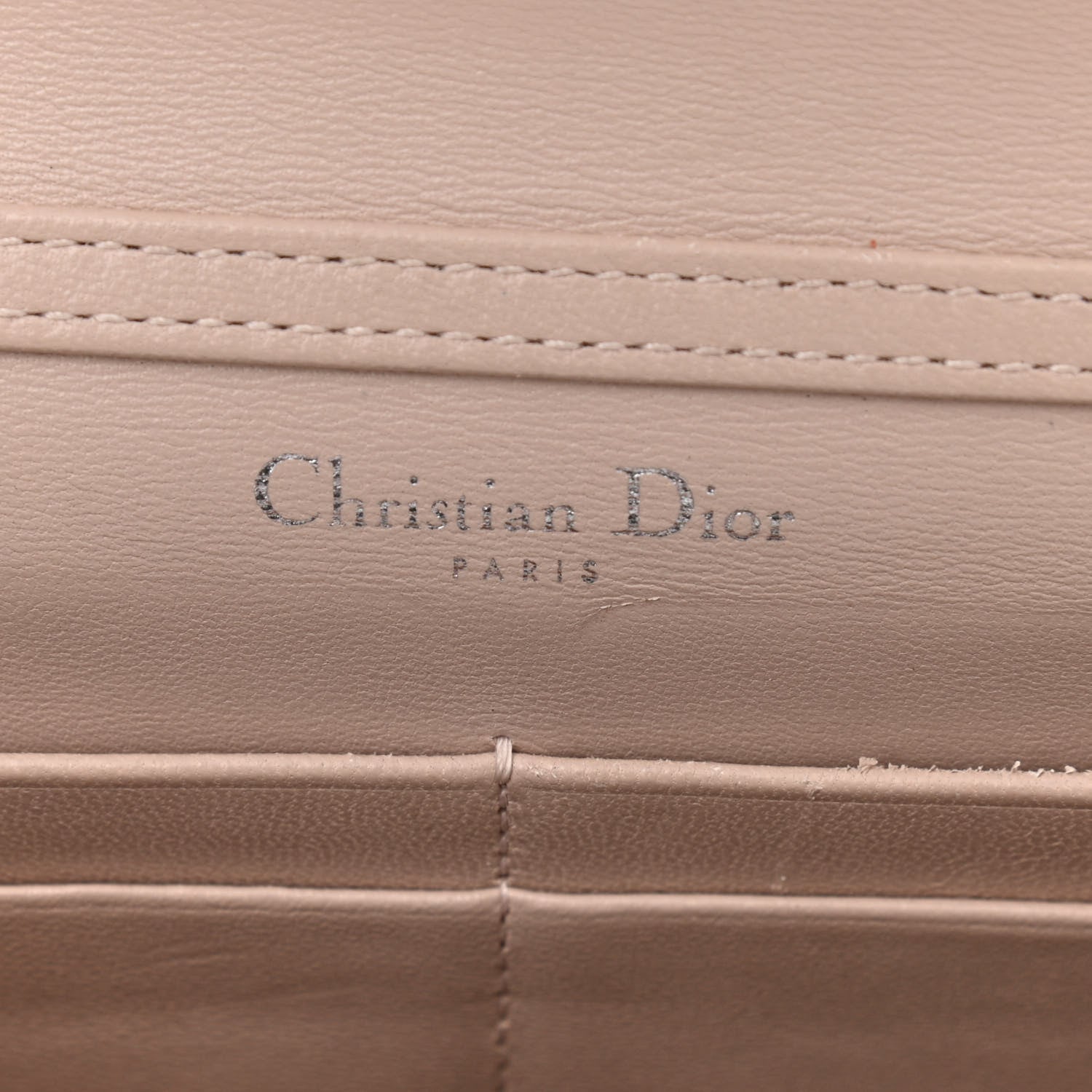 Christian Dior Metallic Ceramic Effect Deerskin Diorama Wallet on Chain Pouch Gold 9 of 15