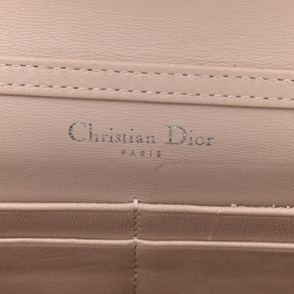 Christian Dior Metallic Ceramic Effect Deerskin Diorama Wallet on Chain Pouch Gold 9 of 15