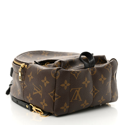Louis Vuitton Monogram Palm Springs Backpack Mini 4 of 13