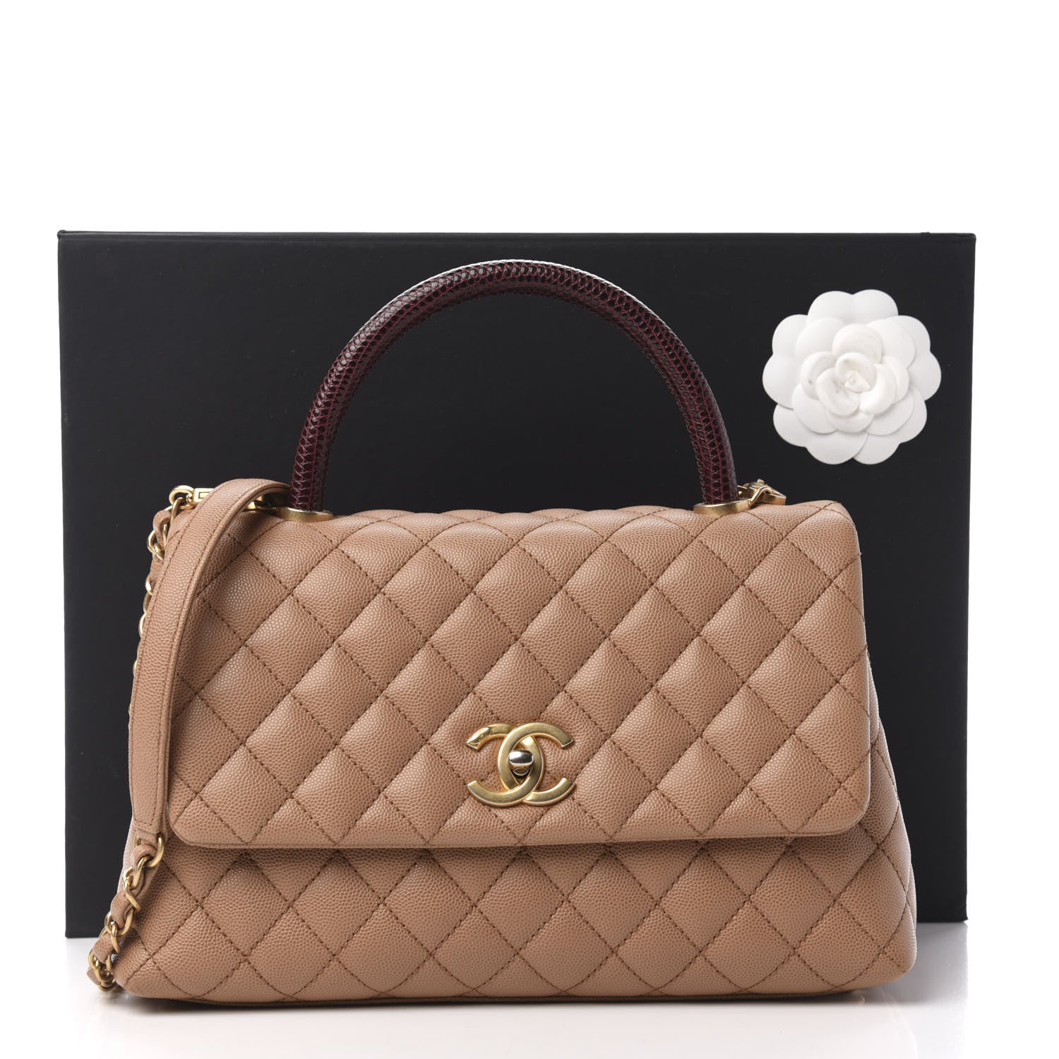 Chanel Caviar Lizard Quilted Small Coco Handle Flap Beige 13 of 13